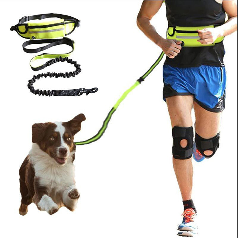 Hands Free Dog Leash Pet Walking And Training Belt With Shock Absorbing Bungee Leash For Up To 180lbs Large Dogs Phone Pocket And Water Bottle Holder